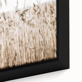 Wild Grass Field Art - Rustic Farmhouse Nature Wall Decor Print