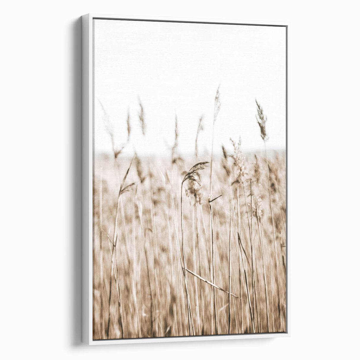 Wild Grass Field Art - Rustic Farmhouse Nature Wall Decor Print