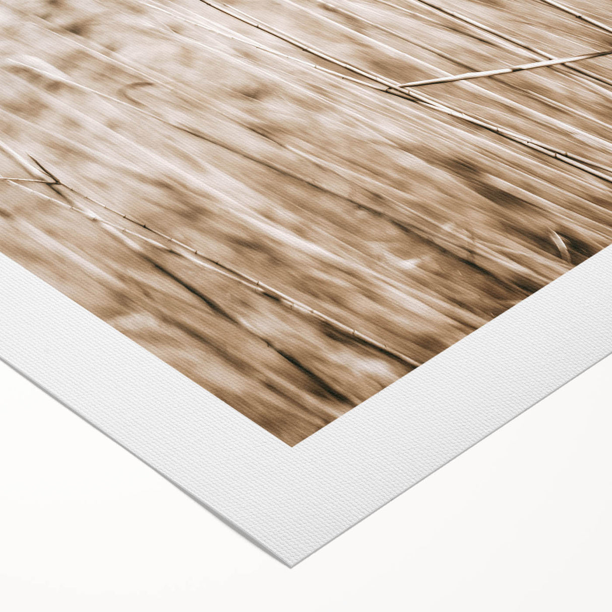 Wild Grass Field Art - Rustic Farmhouse Nature Wall Decor Print