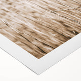 Wild Grass Field Art - Rustic Farmhouse Nature Wall Decor Print