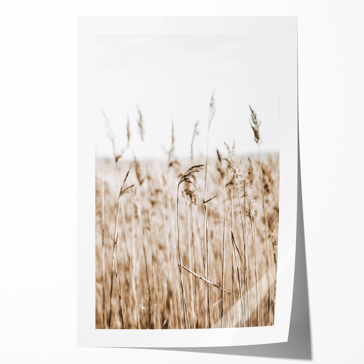 Wild Grass Field Art - Rustic Farmhouse Nature Wall Decor Print