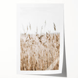 Wild Grass Field Art - Rustic Farmhouse Nature Wall Decor Print