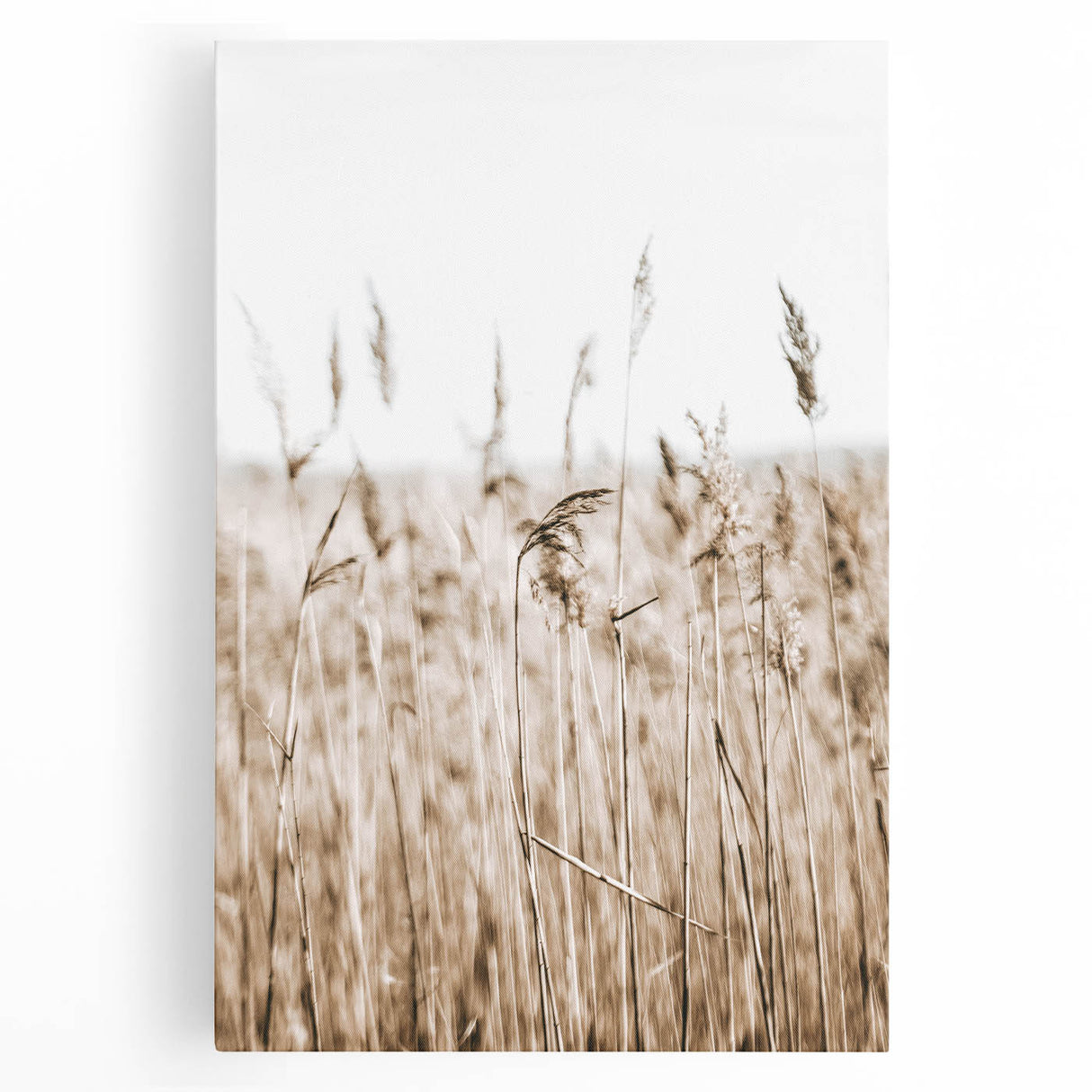 Wild Grass Field Art - Rustic Farmhouse Nature Wall Decor Print