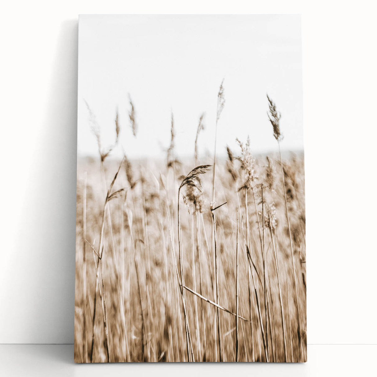 Wild Grass Field Art - Rustic Farmhouse Nature Wall Decor Print