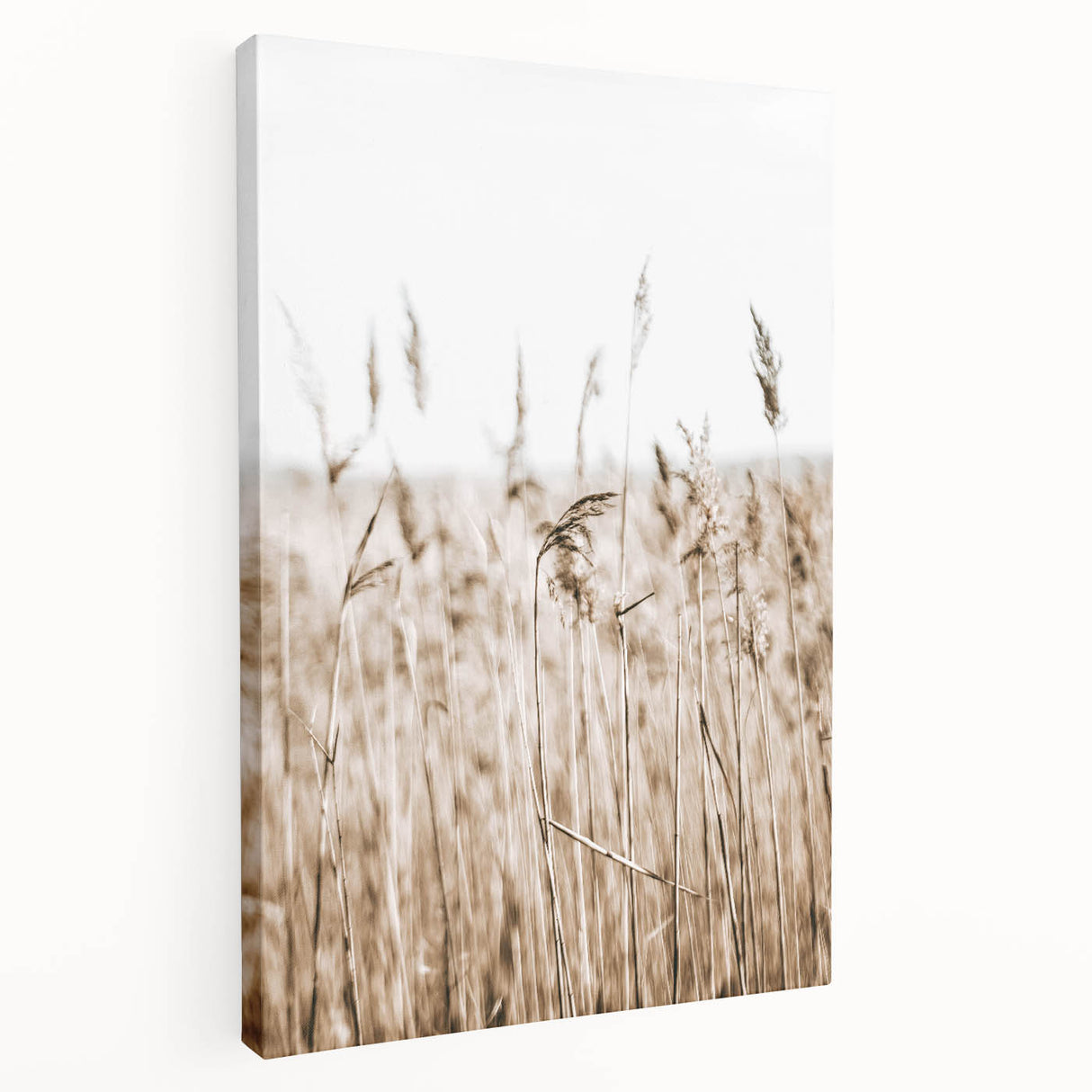 Wild Grass Field Art - Rustic Farmhouse Nature Wall Decor Print