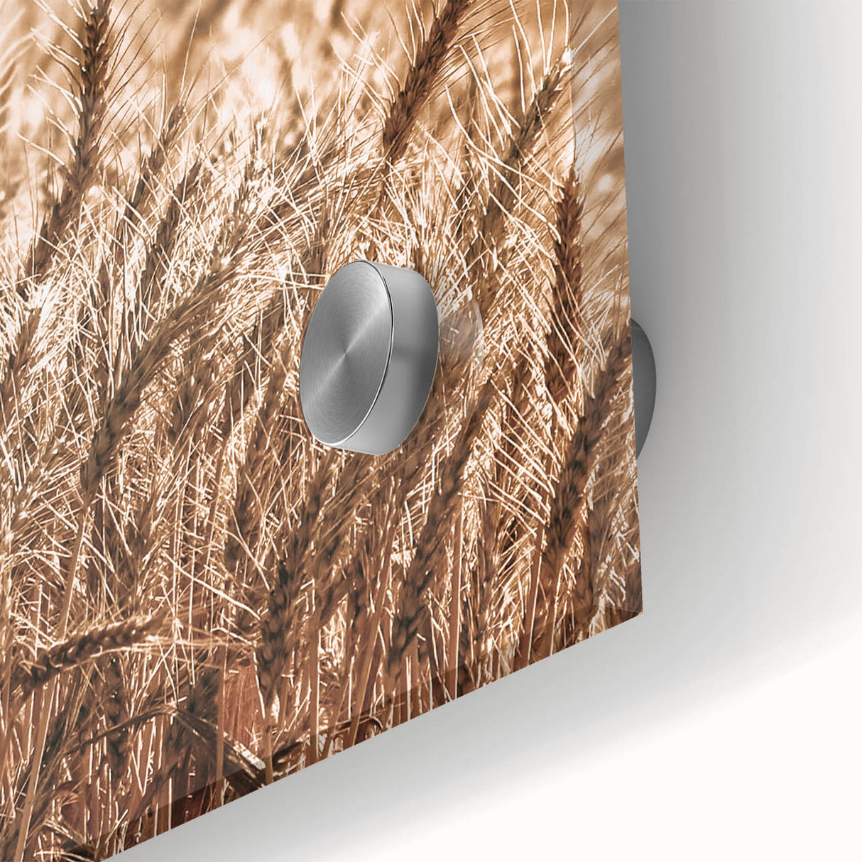 Golden Wheat Field Art - Rustic Farmhouse Wall Decor Print
