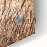 Golden Wheat Field Art - Rustic Farmhouse Wall Decor Print