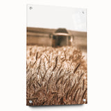 Golden Wheat Field Art - Rustic Farmhouse Wall Decor Print