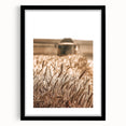 Golden Wheat Field Art - Rustic Farmhouse Wall Decor Print
