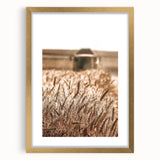 Golden Wheat Field Art - Rustic Farmhouse Wall Decor Print