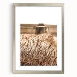 Golden Wheat Field Art - Rustic Farmhouse Wall Decor Print