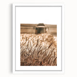 Golden Wheat Field Art - Rustic Farmhouse Wall Decor Print