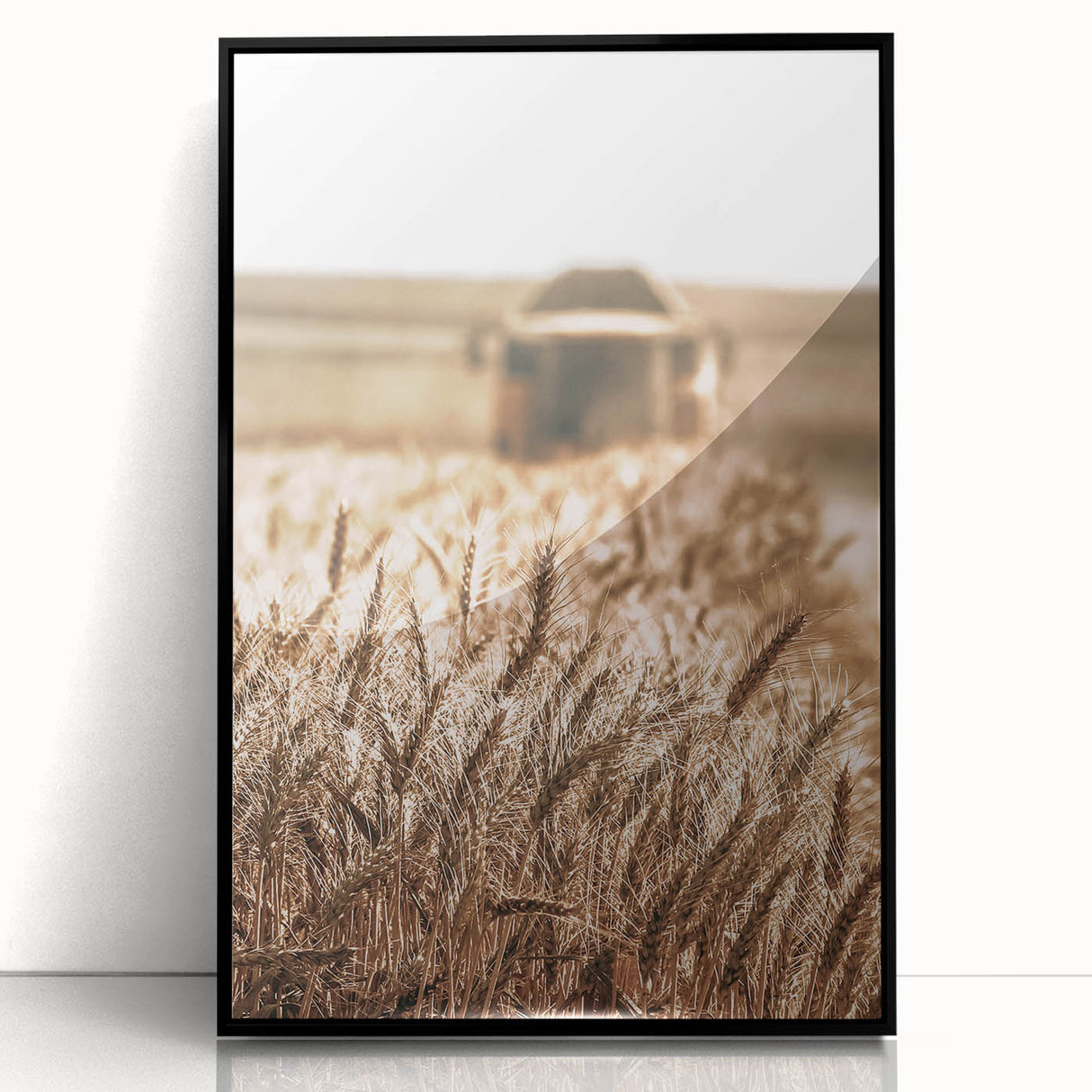 Golden Wheat Field Art - Rustic Farmhouse Wall Decor Print