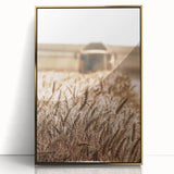 Golden Wheat Field Art - Rustic Farmhouse Wall Decor Print