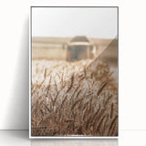 Golden Wheat Field Art - Rustic Farmhouse Wall Decor Print