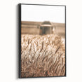 Golden Wheat Field Art - Rustic Farmhouse Wall Decor Print