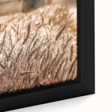 Golden Wheat Field Art - Rustic Farmhouse Wall Decor Print