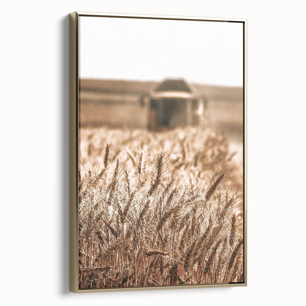 Golden Wheat Field Art - Rustic Farmhouse Wall Decor Print