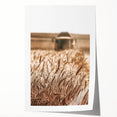 Golden Wheat Field Art - Rustic Farmhouse Wall Decor Print