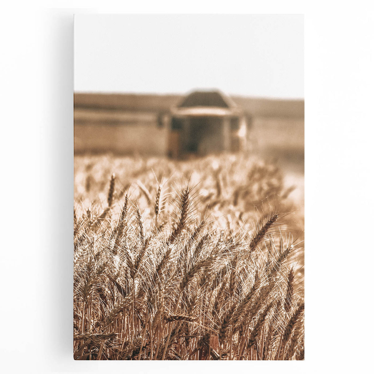 Golden Wheat Field Art - Rustic Farmhouse Wall Decor Print