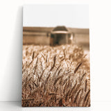 Golden Wheat Field Art - Rustic Farmhouse Wall Decor Print