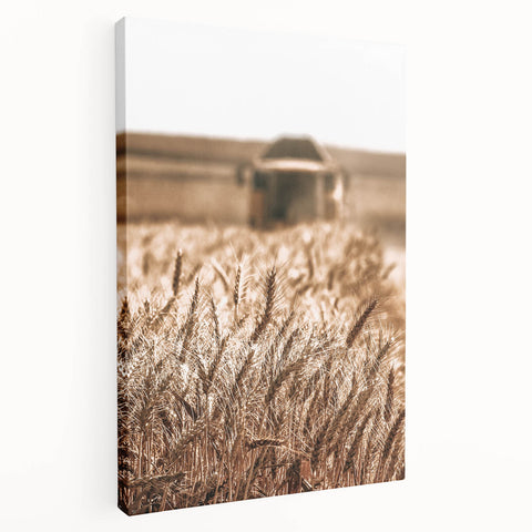 Golden Wheat Field Art - Rustic Farmhouse Wall Decor Print