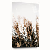 Elegant Wild Grass Art - Rustic Farmhouse Wall Decor Print
