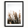 Elegant Wild Grass Art - Rustic Farmhouse Wall Decor Print
