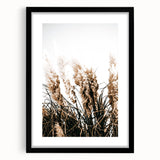 Elegant Wild Grass Art - Rustic Farmhouse Wall Decor Print
