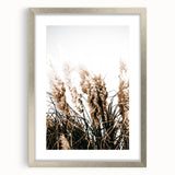 Elegant Wild Grass Art - Rustic Farmhouse Wall Decor Print