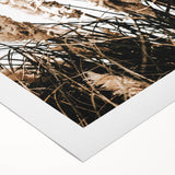 Elegant Wild Grass Art - Rustic Farmhouse Wall Decor Print