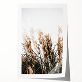 Elegant Wild Grass Art - Rustic Farmhouse Wall Decor Print