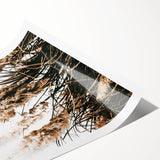 Elegant Wild Grass Art - Rustic Farmhouse Wall Decor Print