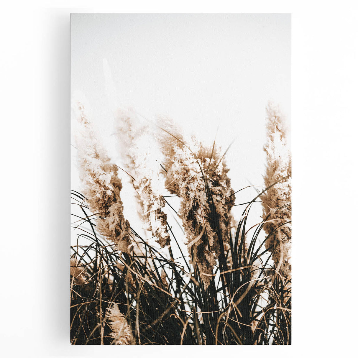 Elegant Wild Grass Art - Rustic Farmhouse Wall Decor Print