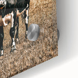 Majestic Cow in Pasture - Rustic Farmhouse Wall Art Print