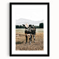 Majestic Cow in Pasture - Rustic Farmhouse Wall Art Print