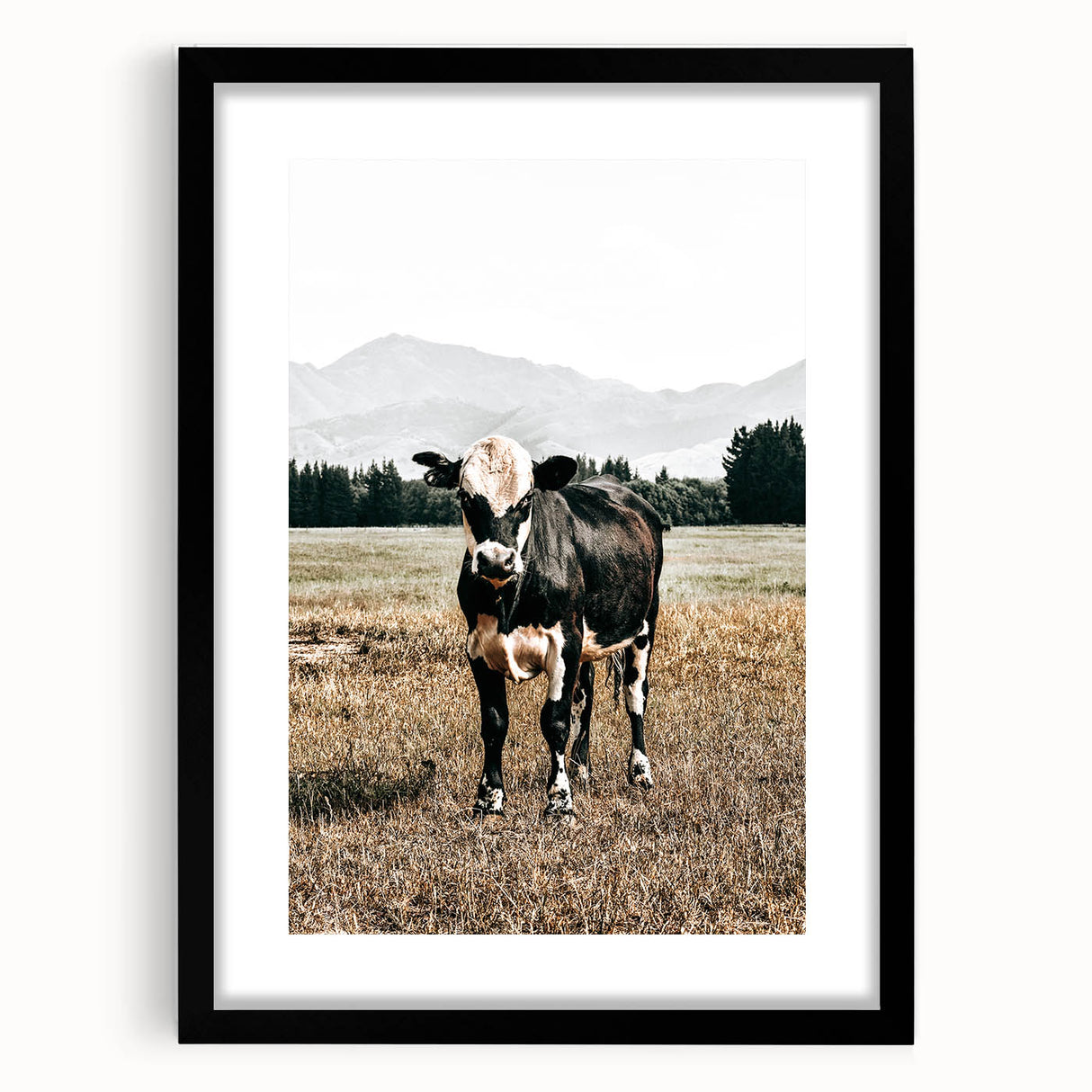 Majestic Cow in Pasture - Rustic Farmhouse Wall Art Print