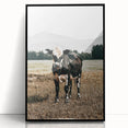 Majestic Cow in Pasture - Rustic Farmhouse Wall Art Print
