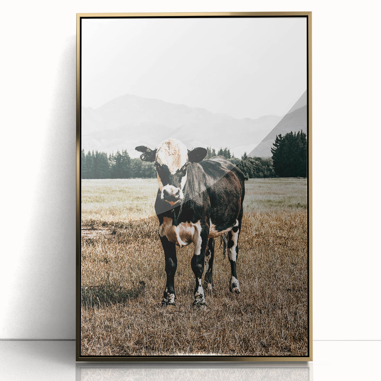 Majestic Cow in Pasture - Rustic Farmhouse Wall Art Print