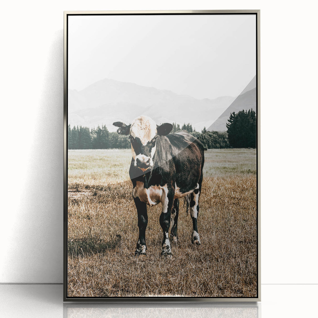 Majestic Cow in Pasture - Rustic Farmhouse Wall Art Print