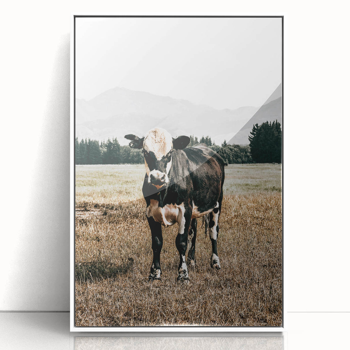 Majestic Cow in Pasture - Rustic Farmhouse Wall Art Print