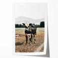 Majestic Cow in Pasture - Rustic Farmhouse Wall Art Print