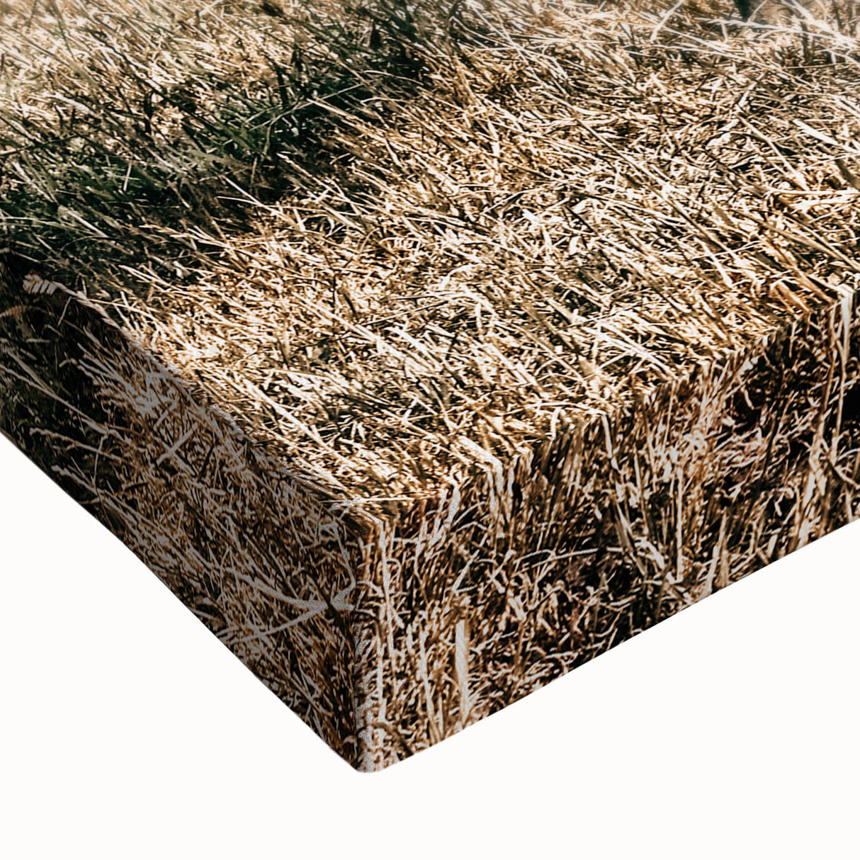 Majestic Cow in Pasture - Rustic Farmhouse Wall Art Print