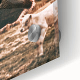 Charming Close-Up Cow - Rustic Farmhouse Wall Art Decor