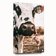 Charming Close-Up Cow - Rustic Farmhouse Wall Art Decor