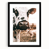 Charming Close-Up Cow - Rustic Farmhouse Wall Art Decor
