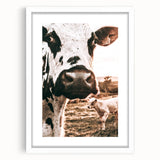 Charming Close-Up Cow - Rustic Farmhouse Wall Art Decor