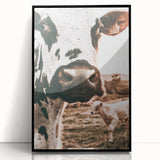 Charming Close-Up Cow - Rustic Farmhouse Wall Art Decor