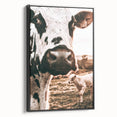 Charming Close-Up Cow - Rustic Farmhouse Wall Art Decor