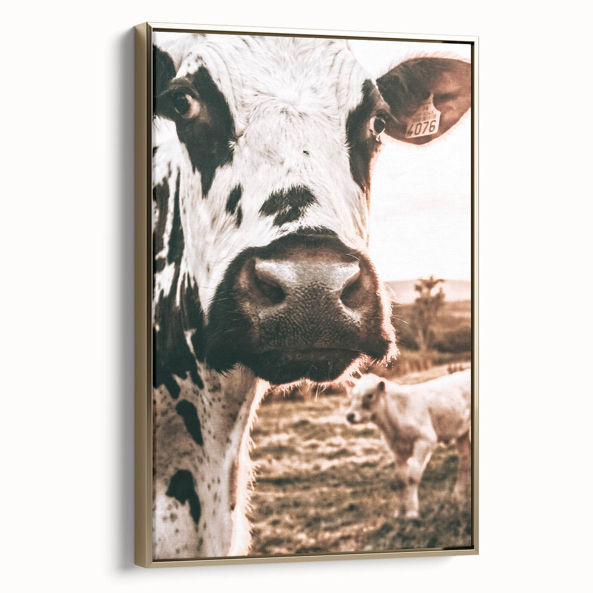 Charming Close-Up Cow - Rustic Farmhouse Wall Art Decor